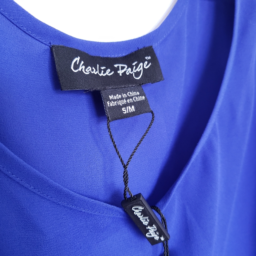 Charlie Paige Color  Block Chiffon - Picture 5 of 7